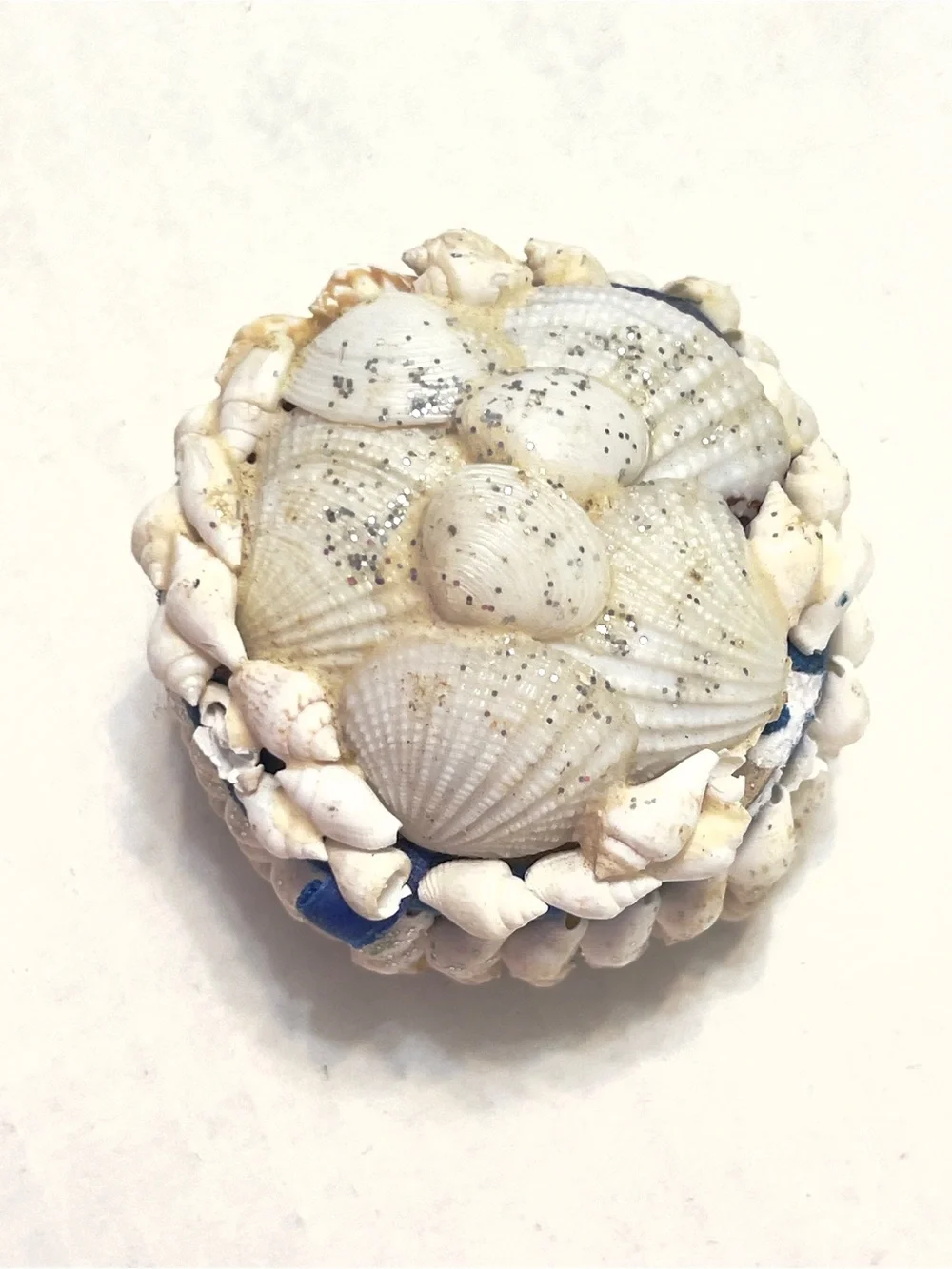 Sea shell round trinket jewelry box glitter coastal